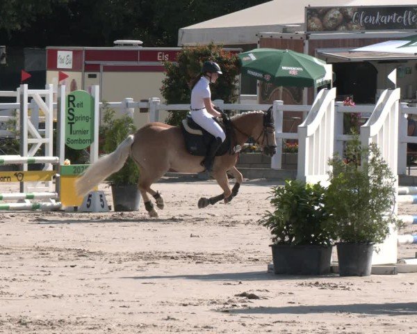 Reitturnier Dortmund-Somborn 2025