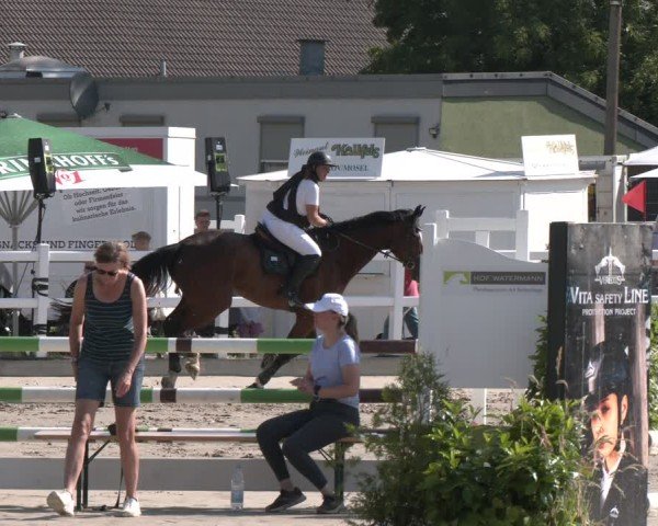 Reitturnier Dortmund-Somborn 2025