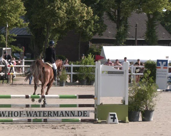 Reitturnier Dortmund-Somborn 2025