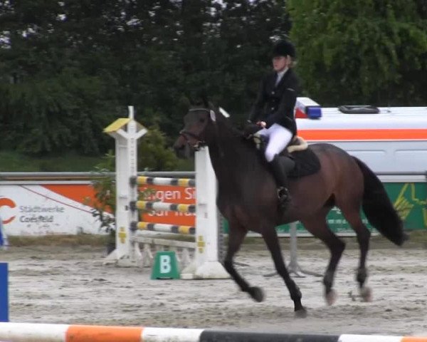Coesfelder Reitertage 2014