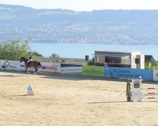 Reitturnier Wädenswil 2025