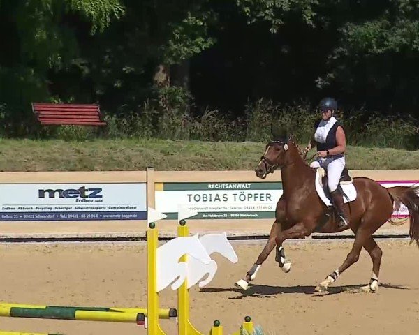 Reitturnier Tiefenhof/Opf. 2025
