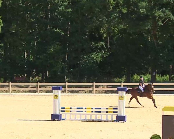 Reitturnier Tiefenhof/Opf. 2025