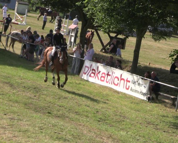 Reitturnier Uenze 2025