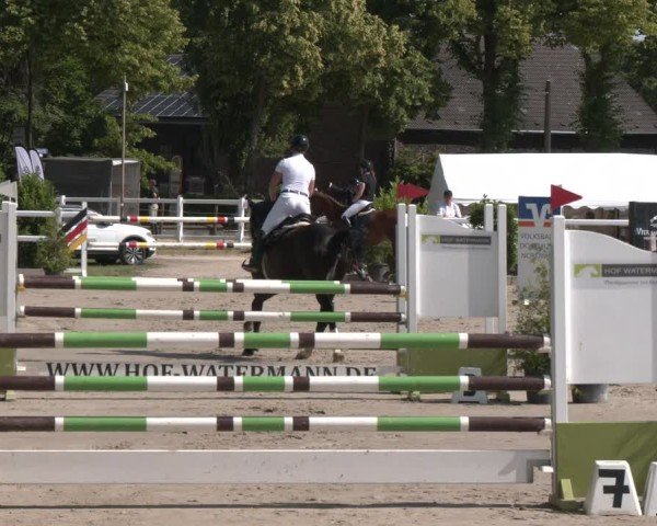 Reitturnier Dortmund-Somborn 2025