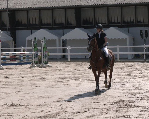 Reitturnier Dortmund-Somborn 2025