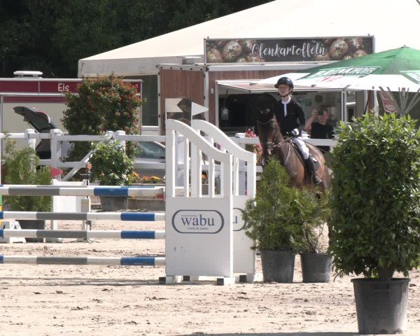Reitturnier Dortmund-Somborn 2025