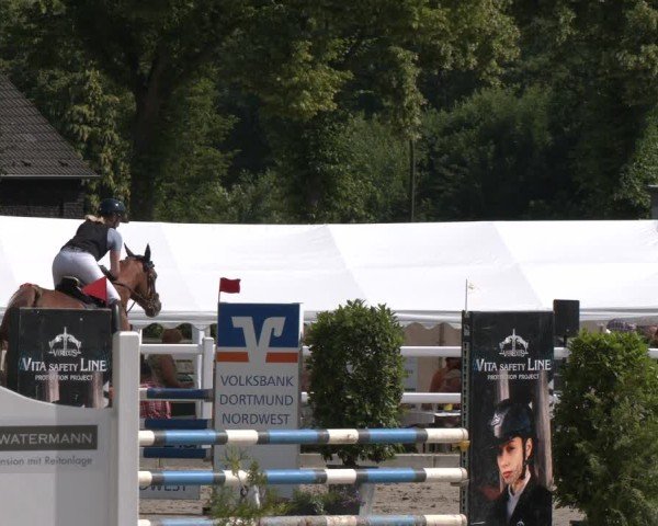 Reitturnier Dortmund-Somborn 2025