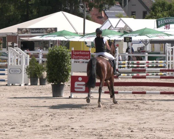 Reitturnier Dortmund-Somborn 2025