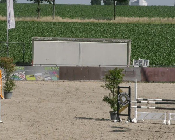 Reitturnier Harsum-Hüddessum 2025