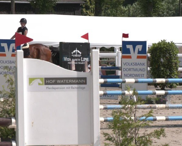 Reitturnier Dortmund-Somborn 2025