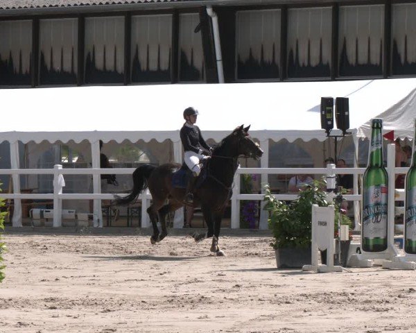 Reitturnier Dortmund-Somborn 2025