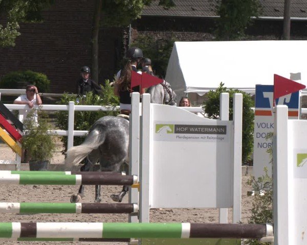 Reitturnier Dortmund-Somborn 2025