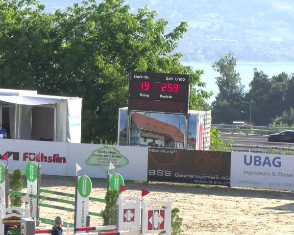 Reitturnier Wädenswil 2025