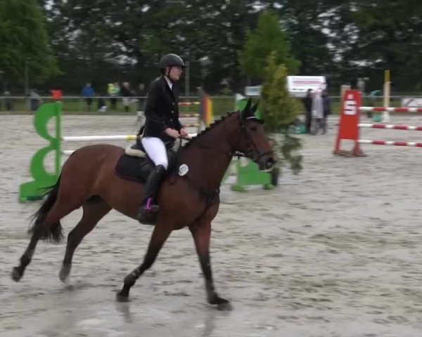 Coesfelder Reitertage 2014