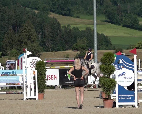 Reitturnier Hitzkirch 2025