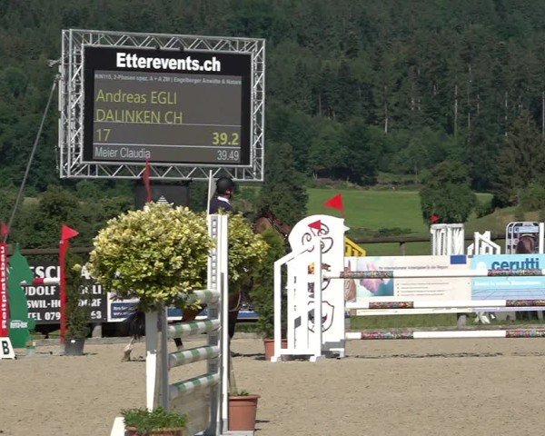 Reitturnier Hitzkirch 2025