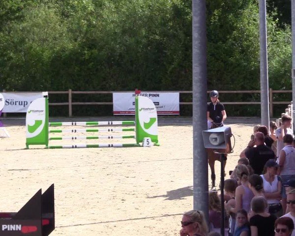 Reitturnier Sörup 2025
