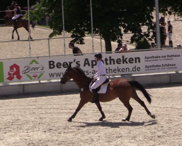 Reitturnier Dorfchemnitz 2025