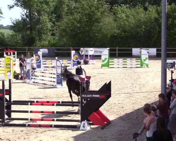 Reitturnier Sörup 2025