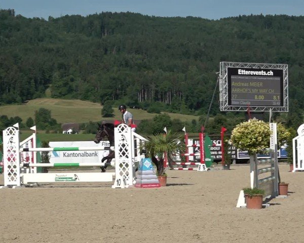 Reitturnier Hitzkirch 2025