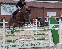 jumper Rascada (Hanoverian, 2006, from Rascalino)