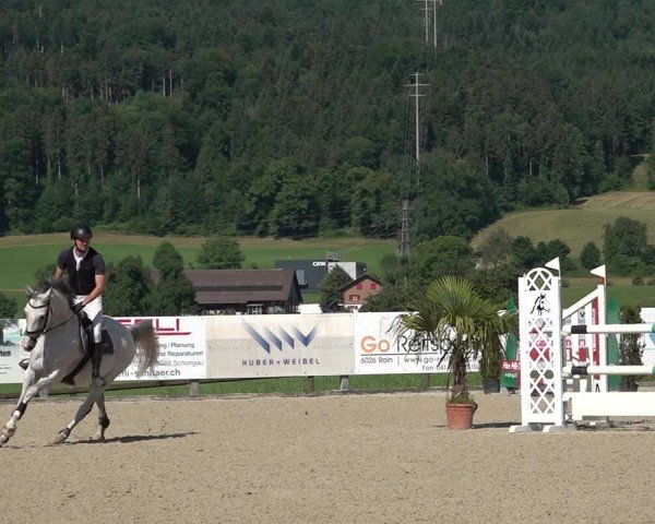 Reitturnier Hitzkirch 2025