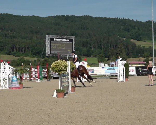 Reitturnier Hitzkirch 2025