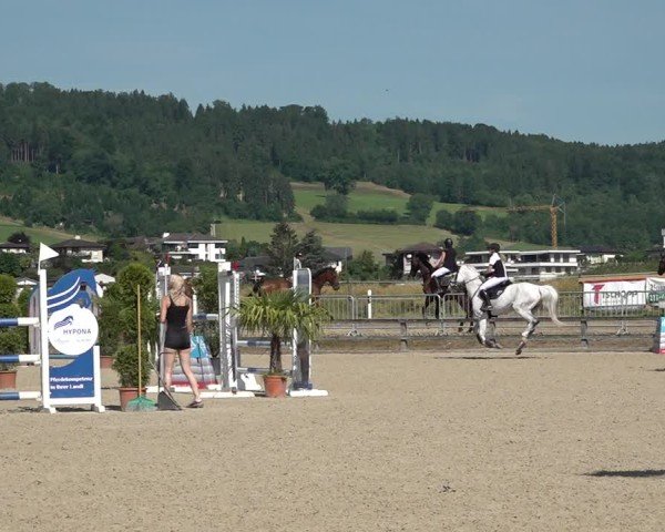 Reitturnier Hitzkirch 2025