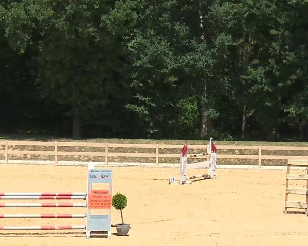 Reitturnier Tiefenhof/Opf. 2025