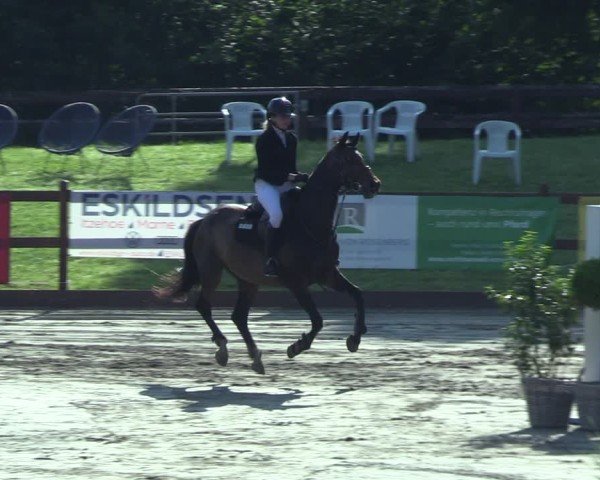 Reitturnier Breitenburg 2025