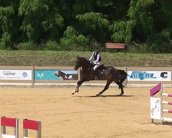 Reitturnier Tiefenhof/Opf. 2025
