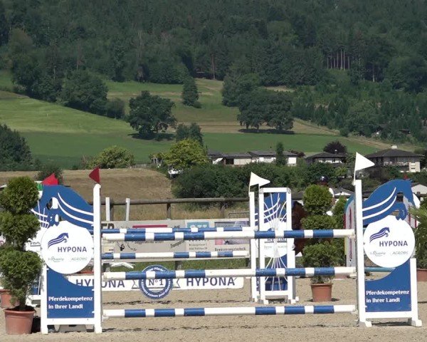 Reitturnier Hitzkirch 2025