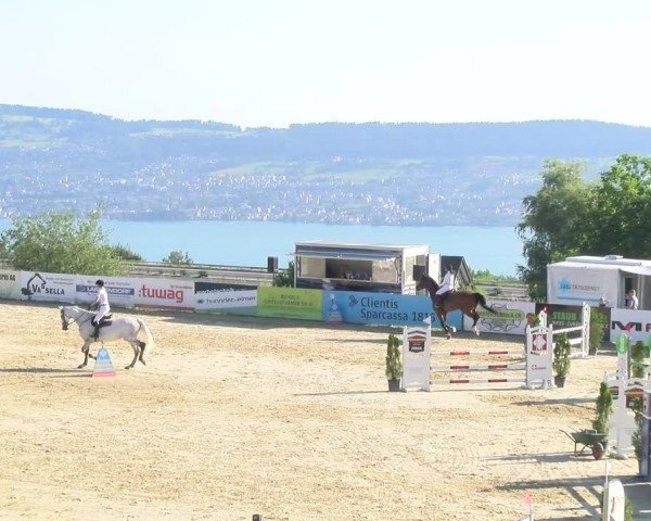 Reitturnier Wädenswil 2025