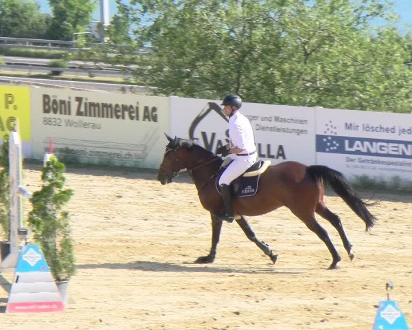 Reitturnier Wädenswil 2025