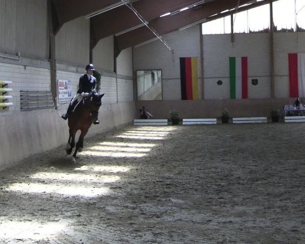 Reitturnier Dortmund-Somborn 2025