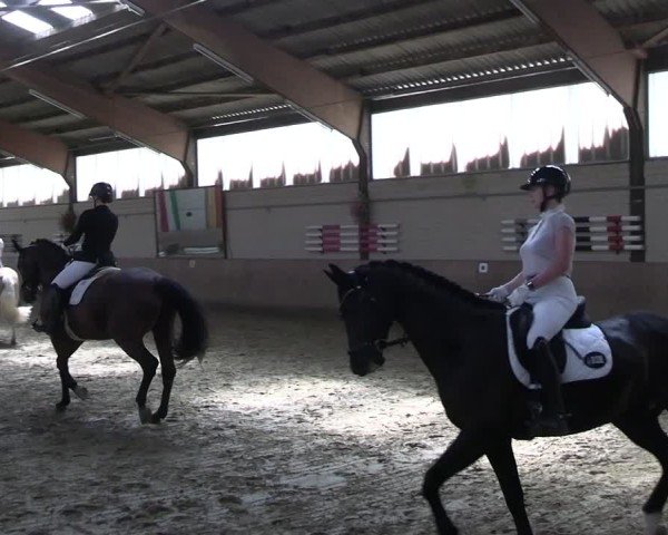 Reitturnier Dortmund-Somborn 2025