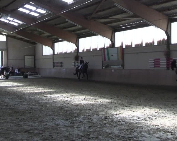 Reitturnier Dortmund-Somborn 2025