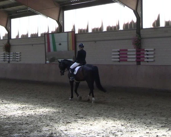 Reitturnier Dortmund-Somborn 2025