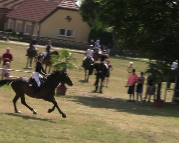 Reitturnier Uenze 2025