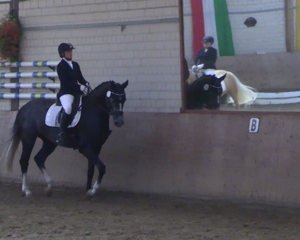 Reitturnier Dortmund-Somborn 2025
