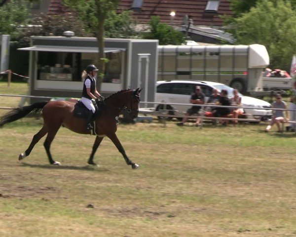 Reitturnier Uenze 2025
