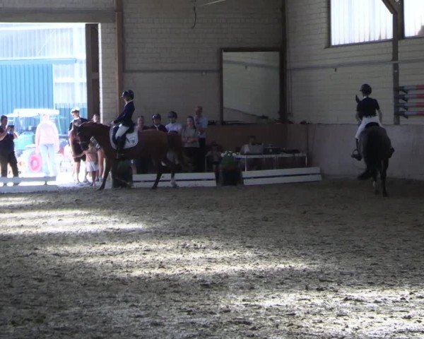 Reitturnier Dortmund-Somborn 2025