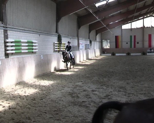Reitturnier Dortmund-Somborn 2025