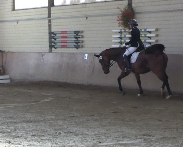 Reitturnier Dortmund-Somborn 2025