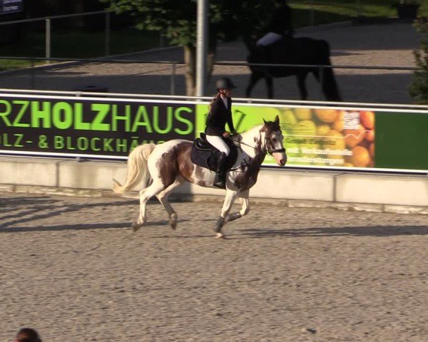 Reitturnier Dorfchemnitz 2025