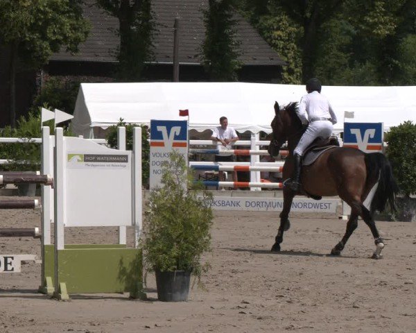 Reitturnier Dortmund-Somborn 2025