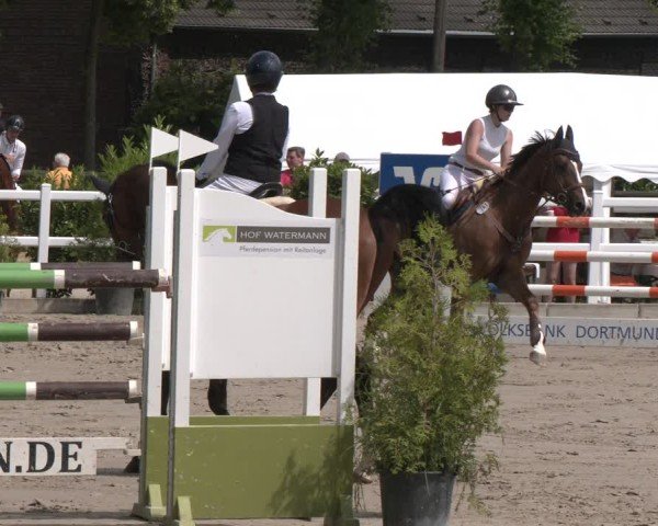 Reitturnier Dortmund-Somborn 2025