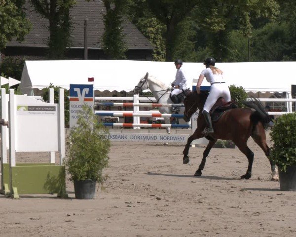 Reitturnier Dortmund-Somborn 2025