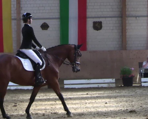 Reitturnier Dortmund-Somborn 2025